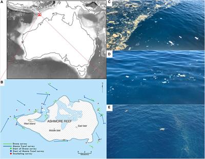 Coastal <mark class="highlighted">Garbage</mark> Patches: Fronts Accumulate Plastic Films at Ashmore Reef Marine Park (Pulau Pasir), Australia